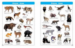 Все-все животные 6