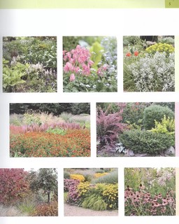 Цветники: 85 лучших композиций (новое оформление) 4