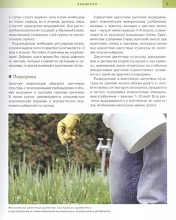 Цветники: 85 лучших композиций (новое оформление) 5