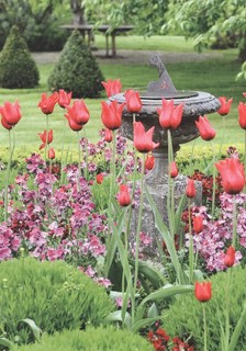 Цветники: 85 лучших композиций (новое оформление) 6