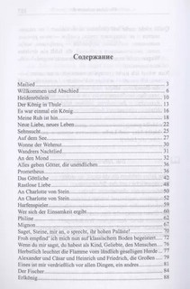 'Гляжу сегодня сквозь очки любви...' Избранные стихотворения 2