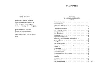 Ананасы в шампанском 2