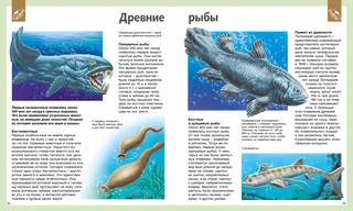 Универсальная школьная энциклопедия 7