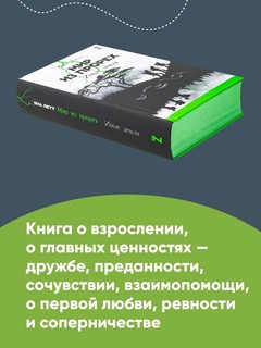 Мир из прорех. Иные земли 4