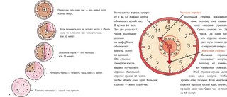 Большая книга приключений Конни. Путешествия 2