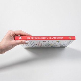 Мой первый словарь с картинками. Учим немецкий и английский с Конни 3