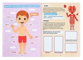 Наклейки. Как устроено моё тело 9