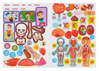 Наклейки. Как устроено моё тело 10