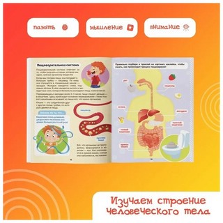 Наклейки. Как устроено моё тело 2