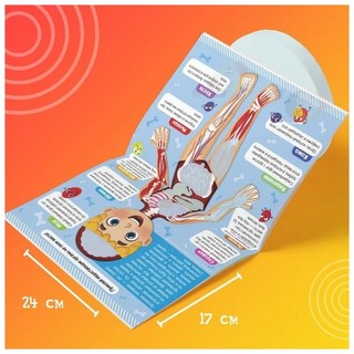 Наклейки. Как устроено моё тело 4