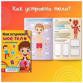 Наклейки. Как устроено моё тело 5