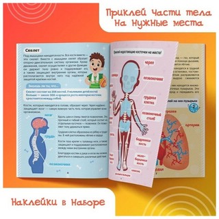 Наклейки. Как устроено моё тело 6