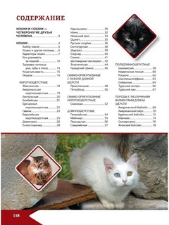 Большая энциклопедия о кошках и собаках 2