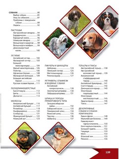 Большая энциклопедия о кошках и собаках 3