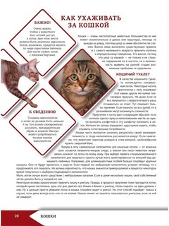 Большая энциклопедия о кошках и собаках 6