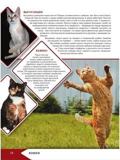Большая энциклопедия о кошках и собаках 7
