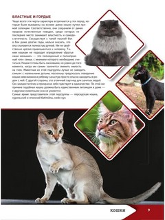 Большая энциклопедия о кошках и собаках 8