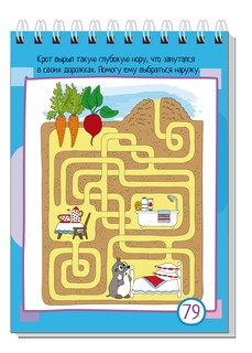 Умный блокнот. 80 задачек на смекалку. Путешествие в лето 3+ 3