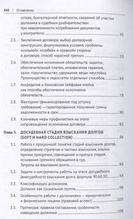 Взыскание долгов. От профилактики до принуждения. Монография 3