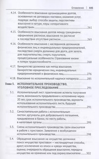 Взыскание долгов. От профилактики до принуждения. Монография 6