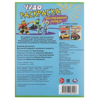 Чудо раскраска 'Бесстрашные ниндзя' 2