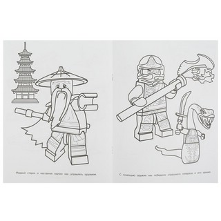 Чудо раскраска 'Бесстрашные ниндзя' 4