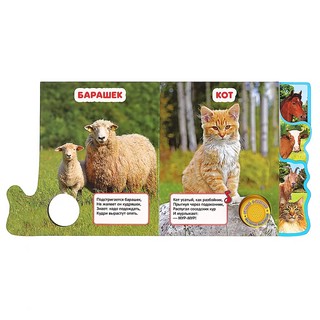 Музыкальная книга 'Домашние животные', 3 песенки 3