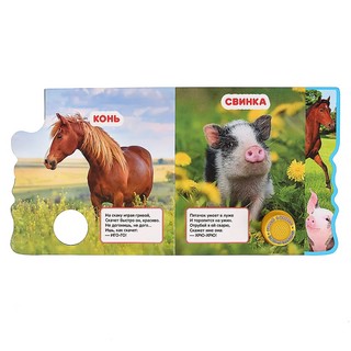 Музыкальная книга 'Домашние животные', 3 песенки 5
