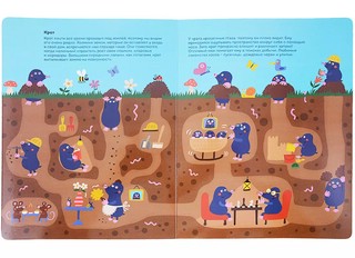 Кто живет под землей. Виммельбух 3