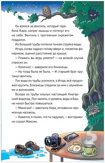 Шкатулка из замка теней 10