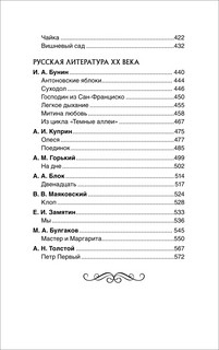 Все произведения школьной программы. Краткое содержание. Литература. 10–11 классы 4