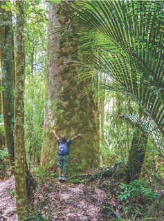 Большая книга о растениях. 1001 фотография 10