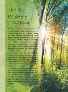 Большая книга о растениях. 1001 фотография 6