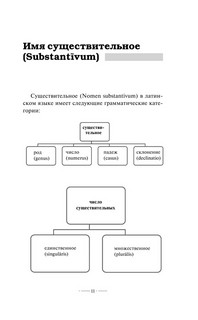 Латинская грамматика без репетитора. Все сложности в простых схемах 11