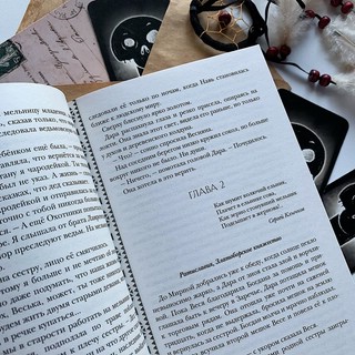 Золотые земли. Сокол и Ворон 8