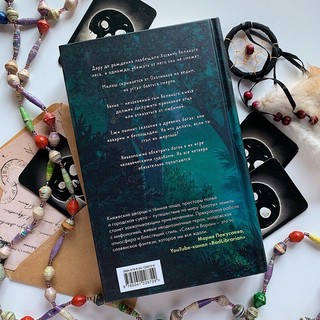 Золотые земли. Сокол и Ворон 9