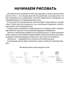 Суперкурс по рисованию. Волшебный лес 3