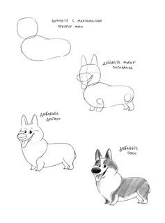 Суперкурс по рисованию. Волшебный лес 9