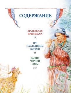 Самые красивые сказки о принцессах и волшебниках 2