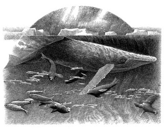 Хроники темных времен. Книга 9. Волчья погибель 2