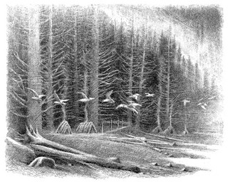 Хроники темных времен. Книга 9. Волчья погибель 4