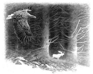 Хроники темных времен. Книга 9. Волчья погибель 6