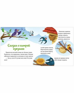 Любознательный малыш. Что бывает весной? 6