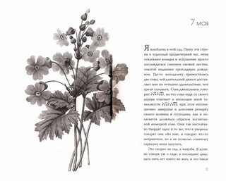 Элизабет и ее немецкий сад 2