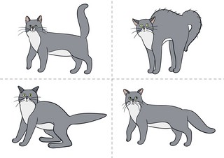 Диагностический альбом 'Цветик-семицветик' для детей 4-5 лет 10