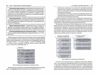 Цифровое правосудие. Цифровой документ. Монография 2