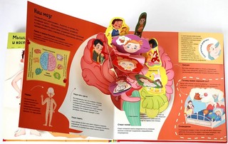 Я и мое тело. POP-UP. Энциклопедия с объемными конструкциями 10