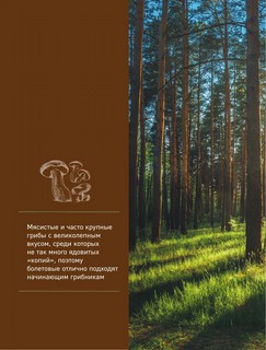 Грибы. Иллюстрированный гид по популярным видам 9