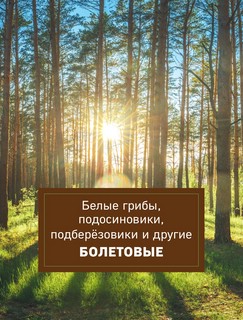 Грибы. Иллюстрированный гид по популярным видам 10