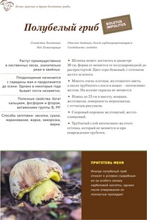 Грибы. Иллюстрированный гид по популярным видам 12